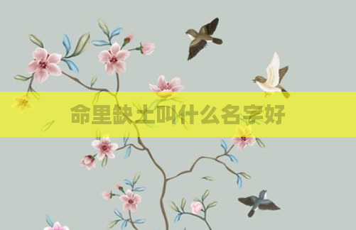 命里缺土叫什么名字好