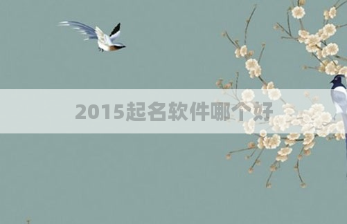 2015起名软件哪个好