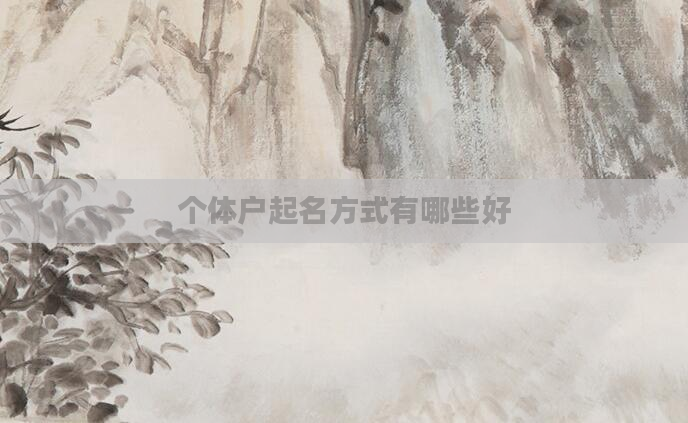 个体户起名方式有哪些好