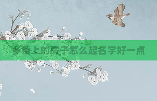 乡镇上的房子怎么起名字好一点