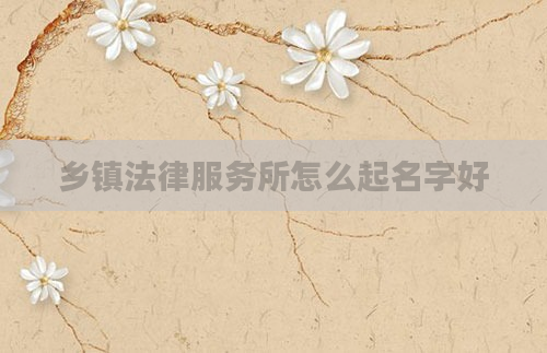 乡镇法律服务所怎么起名字好