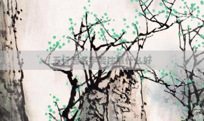 五行起名字要注意什么好