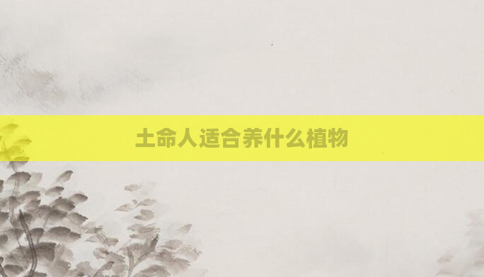 土命人适合养什么植物