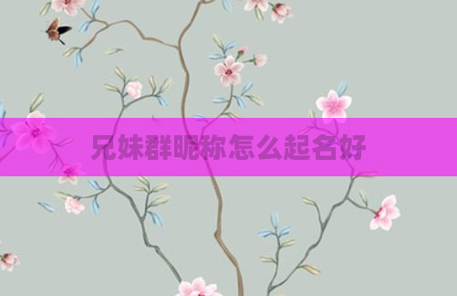 兄妹群昵称怎么起名好
