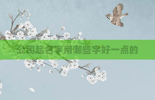 公司起名字用哪些字好一点的