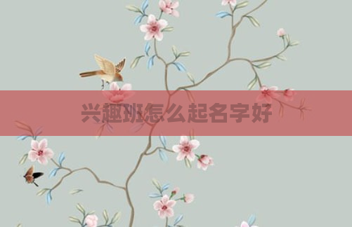 兴趣班怎么起名字好
