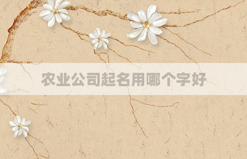 农业公司起名用哪个字好