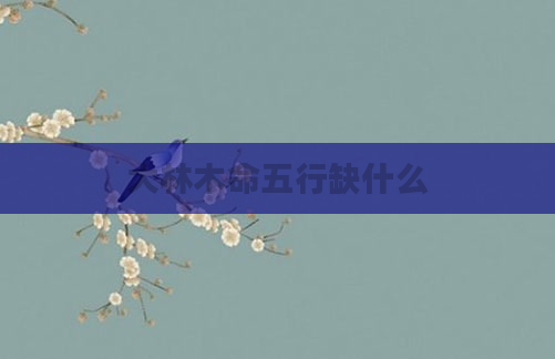 大林木命五行缺什么