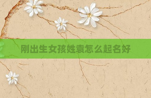 刚出生女孩姓袁怎么起名好