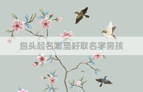 包头起名哪里好取名字男孩
