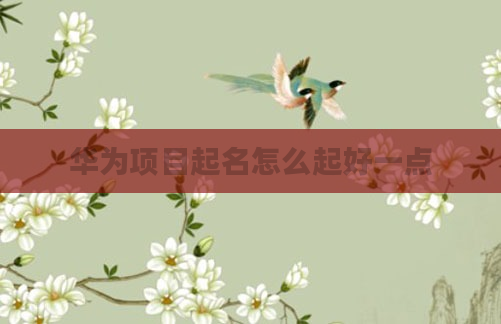 华为项目起名怎么起好一点
