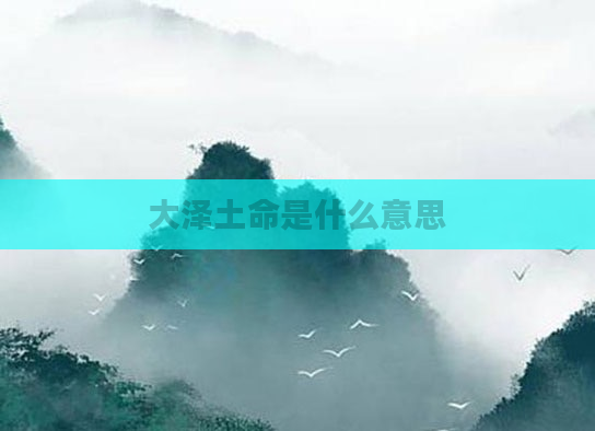大泽土命是什么意思