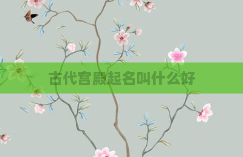 古代宫殿起名叫什么好