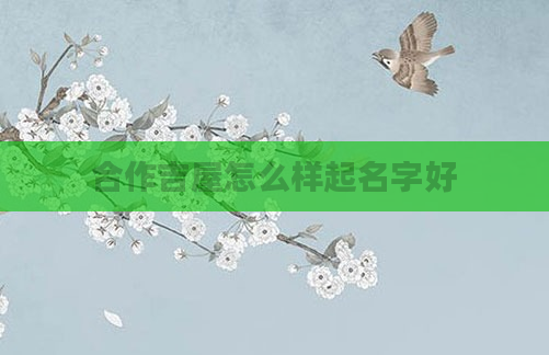 合作吉屋怎么样起名字好