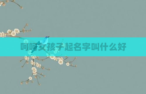 呵呵女孩子起名字叫什么好