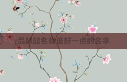 品牌起名找谁好一点的名字
