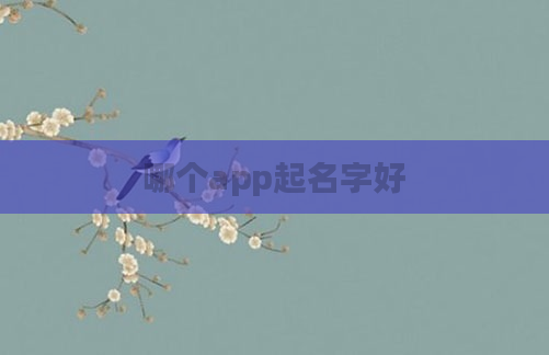 哪个app起名字好