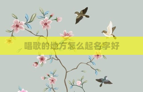 唱歌的地方怎么起名字好