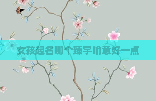 女孩起名哪个臻字喻意好一点