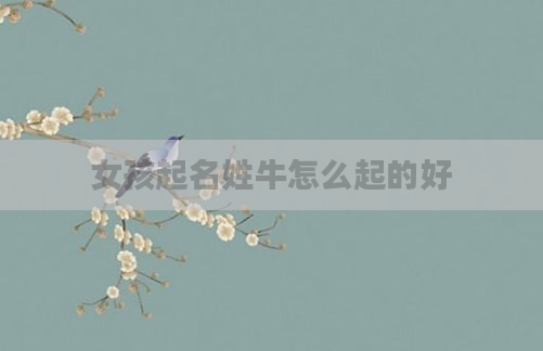 女孩起名姓牛怎么起的好