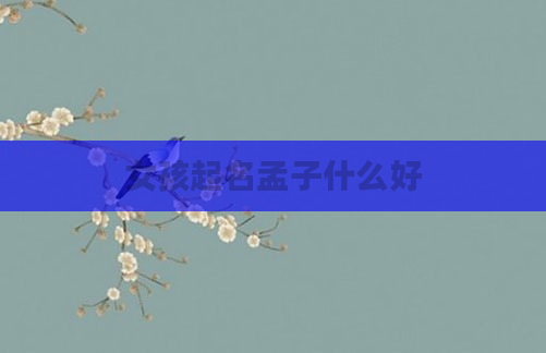 女孩起名孟子什么好