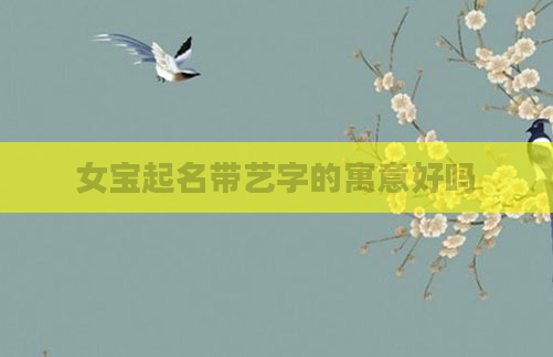 女宝起名带艺字的寓意好吗