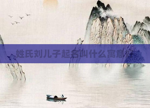 姓氏刘儿子起名叫什么寓意好