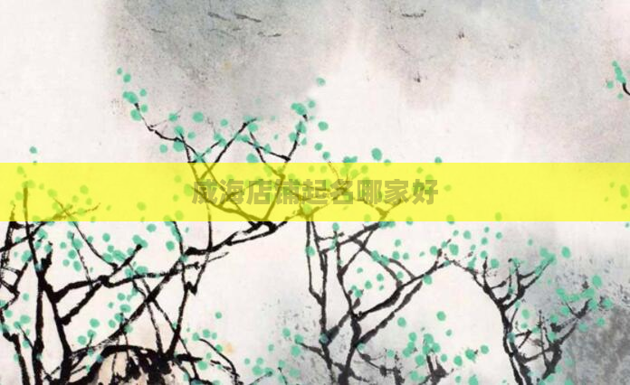 威海店铺起名哪家好