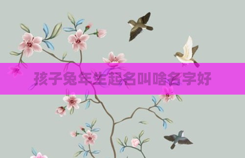 孩子兔年生起名叫啥名字好