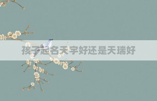 孩子起名天宇好还是天瑞好