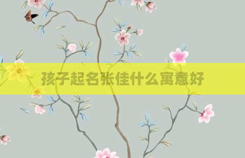 孩子起名张佳什么寓意好