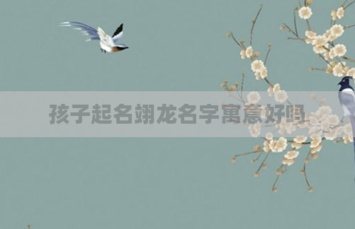 孩子起名翊龙名字寓意好吗