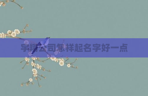 宇翔公司怎样起名字好一点