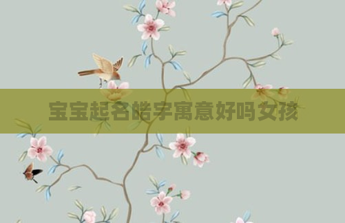 宝宝起名皓宇寓意好吗女孩