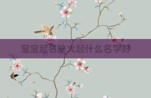 宝宝起名缺火起什么名字好