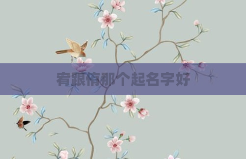 宥跟侑那个起名字好