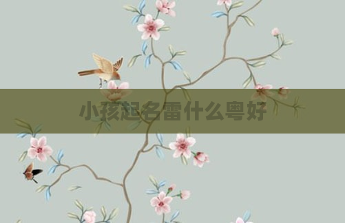 小孩起名雷什么粤好