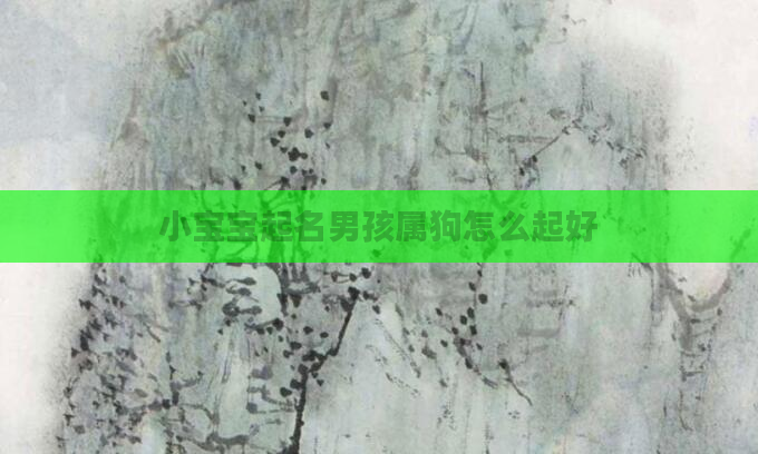 小宝宝起名男孩属狗怎么起好