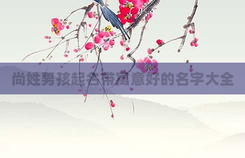尚姓男孩起名带寓意好的名字大全