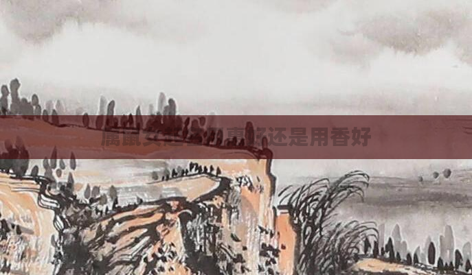 属鼠女起名用惠好还是用香好