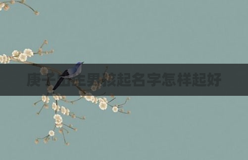 庚子出生男孩起名字怎样起好