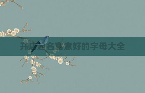 开店起名寓意好的字母大全