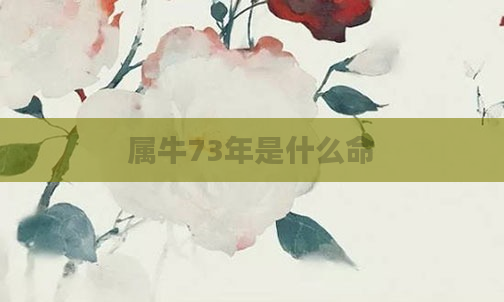 属牛73年是什么命