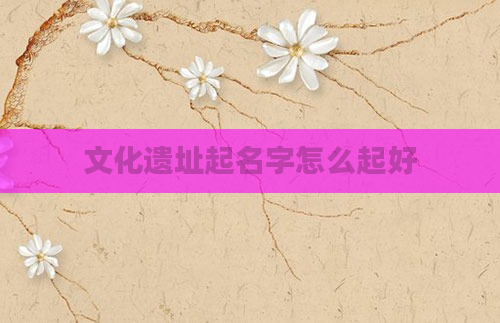 文化遗址起名字怎么起好