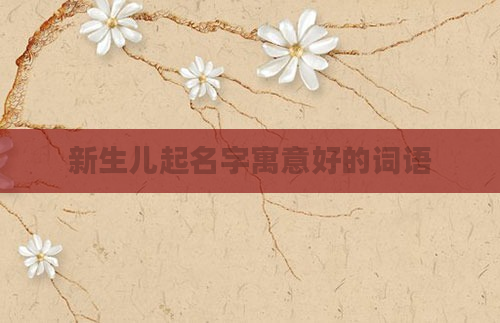 新生儿起名字寓意好的词语