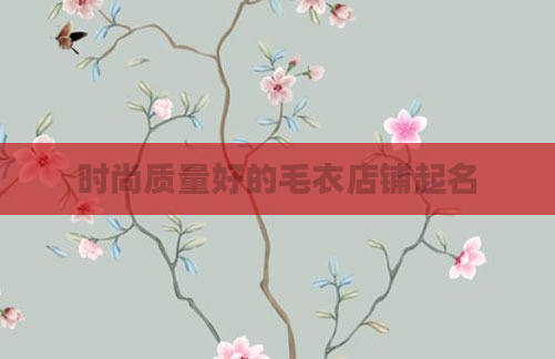 时尚质量好的毛衣店铺起名
