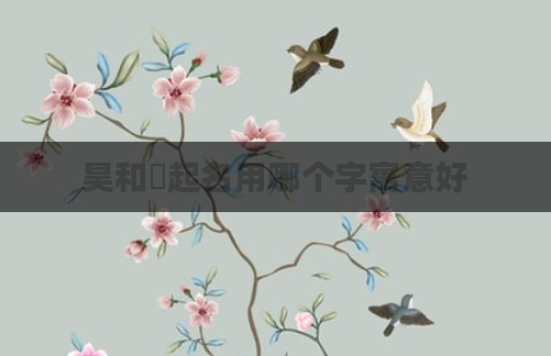 昊和晧起名用哪个字寓意好