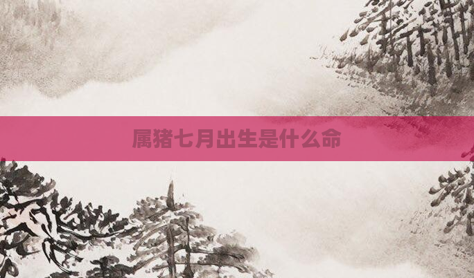 属猪七月出生是什么命