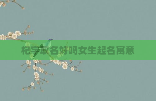 杞字取名好吗女生起名寓意