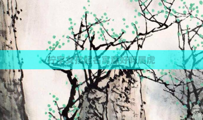 柠字女孩起名寓意好吗属虎